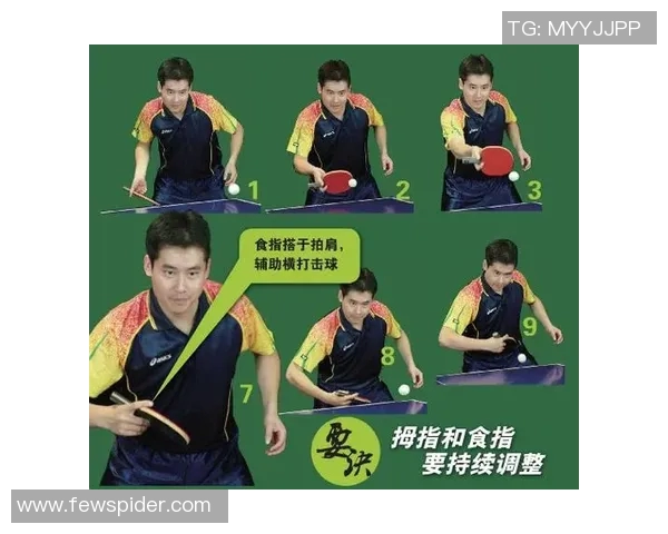 从零基础到高手之路乒乓球技术全方位提升指南