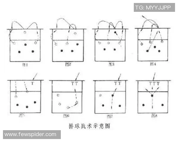 北京排球队的战术演变与球员角色转换深度解析 北京排球队的战术演变与球员角色转换深度解析